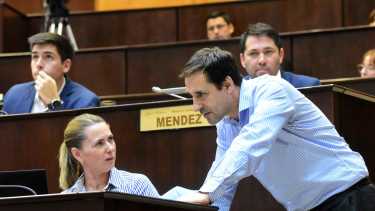 La iniciativa fue presentada por el bloque del MPN (Foto: archivo)