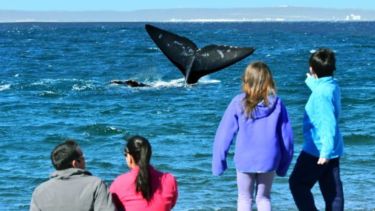 Los alumnos de 32 escuelas de Puerto Madryn realizarán visitas guiadas a El Doradillo