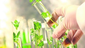 Acuerdo internacional para combatir la “biopiratería”
