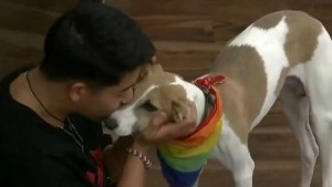 El especial pedido de Martín Ku sobre Arturo, el perro de Gran Hermano: «hablé con ‘Big’…»