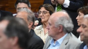 Ley Bases: un momento político a la medida de Juntos Somos Río Negro