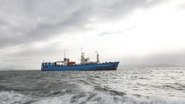 The Akademik Alexander Karpinsky, a Russian polar explorer ship, arrives in Cape Town harbour, South Africa, January 28, 2023. REUTERS/Shelley Christians