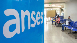 Pensiones No Contributivas de Anses: cuándo y cuánto se cobra en mayo 2024