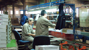 Potenciar Trabajo: cuándo se cobra Volver al Trabajo y Acompañamiento social en mayo 2024. 