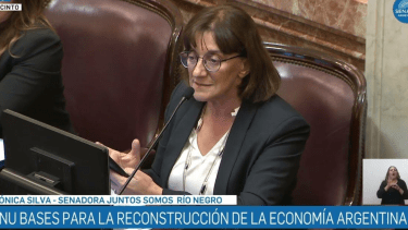 El Gobierno de Milei busca obtener los votos necesarios de los senadores para aprobar la Ley Bases. Foto: Gentileza Senado de la Nación Argentina