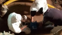 Imagen de Segundo día del corte total de agua en Viedma: se normaliza paulatinamente el servicio