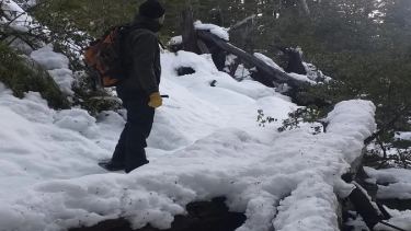 (Foto: gentileza guardaparques del parque nacional Nahuel Huapi)