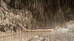 La nieve también complica a Neuquén: qué pasa en Villa La Angostura, San Martín de los Andes y el norte neuquino