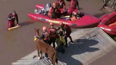 Cómo fue el rescate de «Caramelo», el caballo que quedó atrapado en un techo por las inundaciones en Brasil