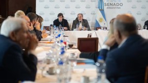 Ley Bases: con guiños a la UCR por fondos educativos, se intensifican las negociaciones