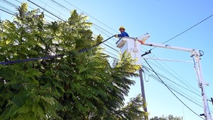 Edersa anunció la finalización de nuevas obras eléctricas que beneficiarán a barrios de Viedma