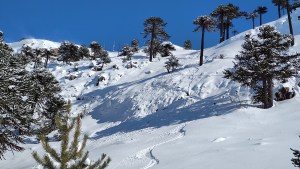 Amaneció con un metro de nieve en un paraíso de la Patagonia, salió a caminar y el video es una belleza