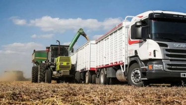 La economía creció 2,3% en mayo gracias al agro, pero construcción e industria no levantan cabeza