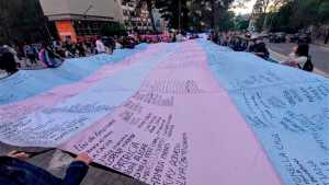 Sin mucho que festejar, se cumple un nuevo aniversario de la Ley de Identidad de Género