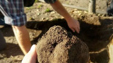 El «diamante negro» en Patagonia: cómo la ciencia le da valor agregado