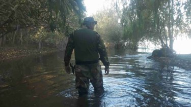 Prefectura, buzos y la división de canes busca a la mujer. Foto gentileza