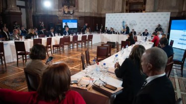 El plenario de comisiones donde se trata la Ley Bases en el Senado. 