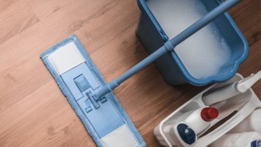 Los aportes para las empleadas domésticas se actualizaron durante mayo 2024.-