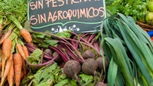 Centenario invita a la feria AlmaCente este sábado 18 de mayo