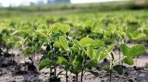 Imagen de Suman fertilizantes y herbicidas a la baja de aranceles de importación de heladeras, lavarropas, neumáticos y plásticos