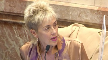 La senadora Silvina García Larraburu es desde 2020 presidenta de la comisión de Ciencia y Tecnología. Archivo