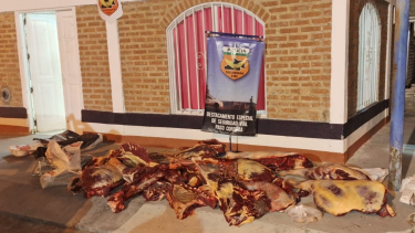 La carne fue encontrada en controles vehiculares. Foto: gentileza.