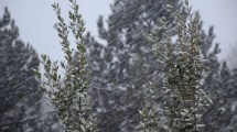 Imagen de Alerta por nieve en Neuquén este martes: horarios y zonas más afectadas