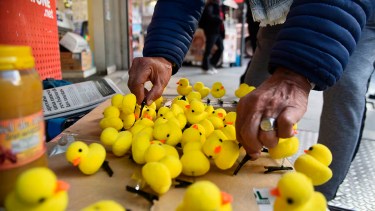 Los patitos virales pasaron de Asia a Buenos Aires y la Patagonia en cuestión de semanas. Foto: gentileza.
