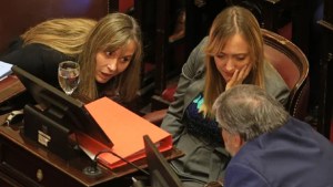 Ley de Bases: el kirchnerismo dice estar abroquelado en el Senado para rechazarla