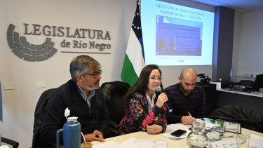 Daiana Neri estuvo en la reunión para explicar los alcances de la cesión. Foto: Marcelo Ochoa.