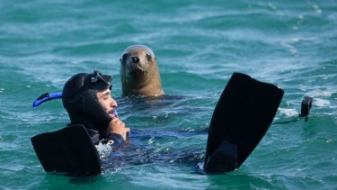 Walter disfruta a pleno del paisaje. Sus fotos de fauna marina se viralizan siempre, porque logra captar momentos únicos