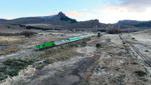 Tren Patagónico para el fin de semana largo: salidas, precios y horarios especiales