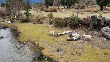 Los pobladores viven casi en el límite con Chile. Foto: gentileza