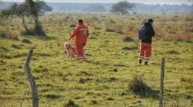 Imagen de Búsqueda de Loan | Una media con sangre y la acusación contra la madre: «Por venganza»