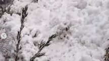 Imagen de Una avalancha cayó sobre un sendero del Jakob en Bariloche