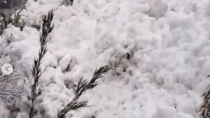 Una avalancha cayó sobre un sendero del Jakob en Bariloche