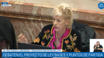 Imagen de Video | García Larraburu en el Senado por la Ley Bases: «No voy a destruir la industria nacional ni regalar recursos con el RIGI»