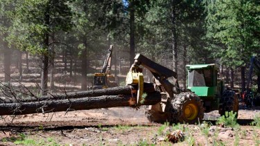 Impulsan la emisión de bonos verdes para la huella de carbono de Vaca Muerta
