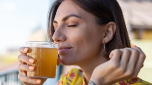 Descubren los secretos de la Kombucha en Bariloche: ¿qué es y cómo se investiga?