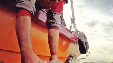 El 16 de junio es el Día Mundial de las Tortugas Marinas
