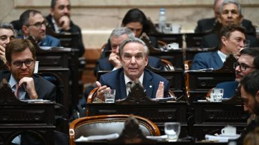 Pichetto y su bloque Encuentro Federal busca representar los pedidos de los gobernadores. Foto: archivo.