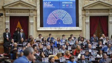 Video: cómo fue el momento de la votación de la Ley Bases en Diputados