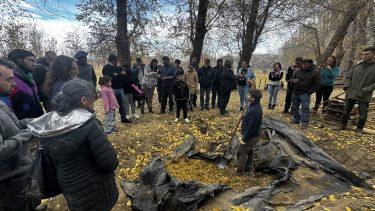 Estrategias en el Norte Neuquino: la adecuación de las prácticas de suplementación a los condicionantes se evidencian en los testimonios de los productores.