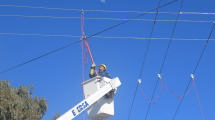 Imagen de Anunciaron un corte general de energía en Río Negro este domingo: horarios y ciudades alcanzadas