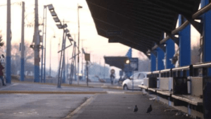 No hay colectivos en Roca este lunes: sin transporte urbano por el feriado del 17 de junio
