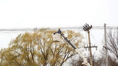 La empresa realizará trabajos de poda y realizará cortes programados de luz. Foto Gentileza Edersa