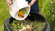Imagen de Cómo preparar abono casero con tres ingredientes: esta es la mejor forma de hacerlo