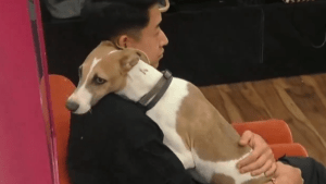 Martín Ku, separado de su mascota tras ser eliminado de Gran Hermano: Cuándo se reencontrará con Arturo