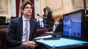 Ley Bases: Lousteau presentó su propio dictamen y provocó un sismo en el radicalismo