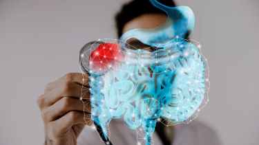 Microbiota intestinal: El 69% de los argentinos recibe ayuda para equilibrarla: Cuáles son los tratamientos